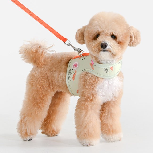 Pinkaholic Kiki Pinka Harness J Light Lime – Katoenen Hondenjas voor Kleine Honden hondentuig > honden harnas > model B Small