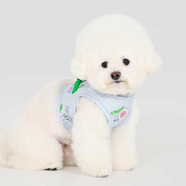 Pinkaholic Kiki Vest Harness Light Blue – Zacht Katoenen Hondentuigje voor Kleine Honden hondentuig > honden harnas > model B Small