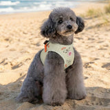 Pinkaholic Kiki Vest Harness Light Lime – Zacht Katoenen Hondentuigje voor Kleine Honden hondentuig > honden harnas > model B Small