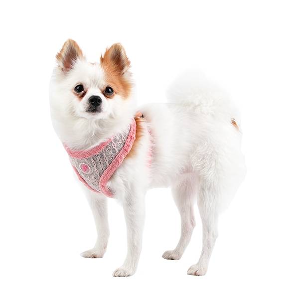 Pinkaholic Margaux Harness Indian Pink - Premium hondentuig > honden harnas from Pinkaholic - Just €23.99! Shop now at Frenkiezdogshop