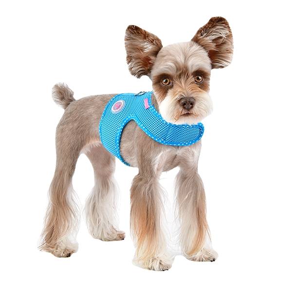 Pinkaholic Niki Pinka Harness Skyblue - Premium hondentuig > honden harnas from Pinkaholic - Just €24.99! Shop now at Frenkiezdogshop