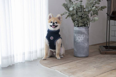 Pinkaholic Niki V Harness Navy ( Medium ) hondentuig > honden harnas > overige modellen Small