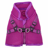 Pinkaholic Niki V Harness Purple - Premium hondentuig > honden harnas from Pinkaholic - Just €29.99! Shop now at Frenkiezdogshop