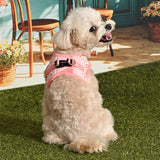 Pinkaholic Trixie Vest Harness Indian Pink – Zacht Katoenen Hondentuigje voor Kleine Honden hondentuig > honden harnas > model B Small
