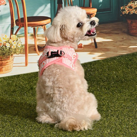 Pinkaholic Trixie Vest Harness Indian Pink – Zacht Katoenen Hondentuigje voor Kleine Honden hondentuig > honden harnas > model B Small