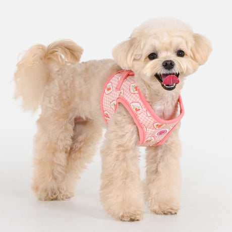 Pinkaholic Trixie Vest Harness Indian Pink – Zacht Katoenen Hondentuigje voor Kleine Honden hondentuig > honden harnas > model B Small
