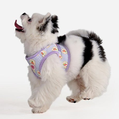 Pinkaholic Trixie Vest Harness Violet – Zacht Katoenen Hondentuigje voor Kleine Honden hondentuig > honden harnas > model B Small