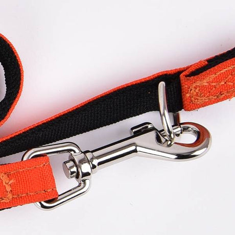 Puppia Trek Lijn Orange - Premium hondenriem > hondenlijn from Puppia - Just €23.99! Shop now at Frenkiezdogshop