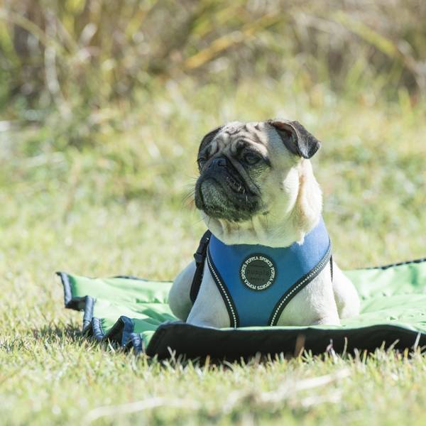 Puppia Trek Outdoor Mat - Premium hondenmat > hondendeken from Puppia - Just €49.99! Shop now at Frenkiezdogshop