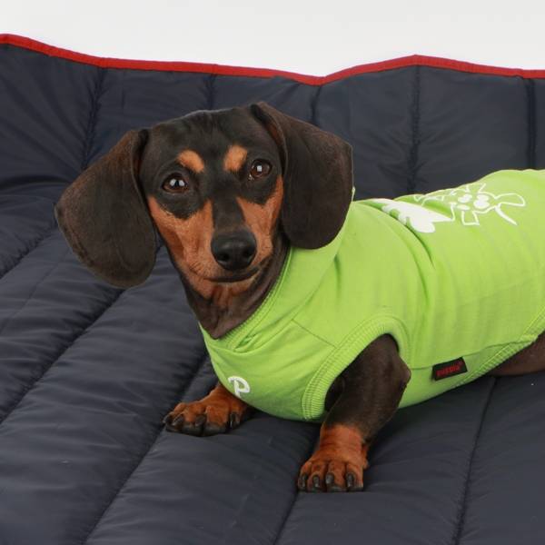 Puppia Trek Outdoor Mat - Premium hondenmat > hondendeken from Puppia - Just €49.99! Shop now at Frenkiezdogshop