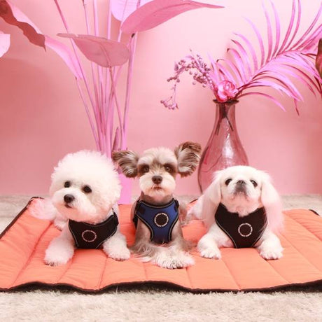 Puppia Trek Outdoor Mat hondenmat > hondendeken one - size