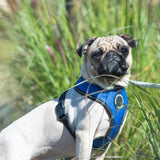 Puppia Trek Harness model A Royal Blue - Premium hondentuig > honden harnas from Puppia - Just €28.99! Shop now at Frenkiezdogshop