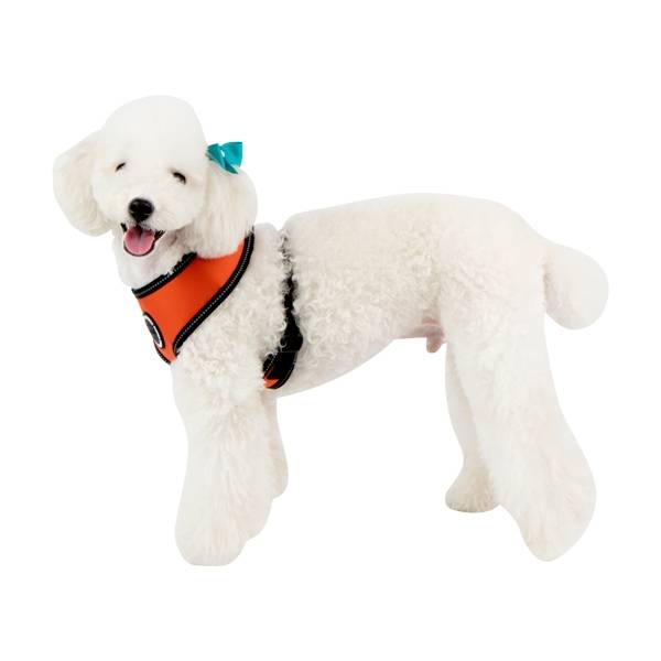 Puppia Trek Harness model A Orange - Premium hondentuig > honden harnas from Puppia - Just €28.99! Shop now at Frenkiezdogshop