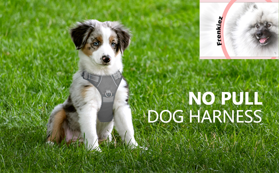 Frenkiez Y tuig dogharness reflective Grey ( matching straps ) - Premium hondentuig > honden harnas from Frenkiez - Just €34.99! Shop now at Frenkiezdogshop