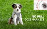 Frenkiez Y tuig dogharness reflective Grey ( matching straps ) - Premium hondentuig > honden harnas from Frenkiez - Just €34.99! Shop now at Frenkiezdogshop