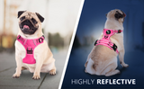 Frenkiez Y tuig dogharness reflective Pink ( matching straps ) - Premium hondentuig > honden harnas from Frenkiez - Just €34.99! Shop now at Frenkiezdogshop