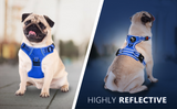 Frenkiez Y tuig dogharness reflective Royal Blue ( matching straps ) - Premium hondentuig > honden harnas from Frenkiez - Just €34.99! Shop now at Frenkiezdogshop