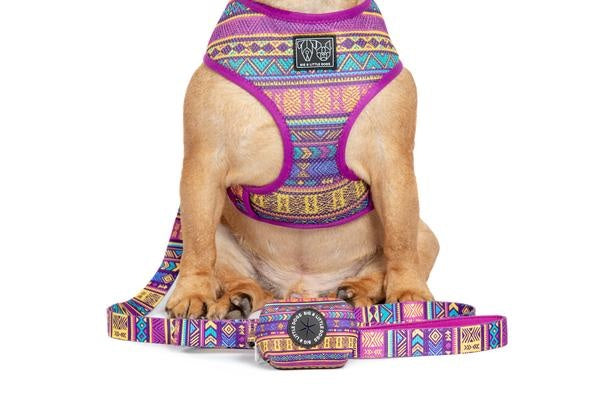 Big and Little Dogs Aztec Dreams poepzakjeshouder - Premium Poepzakjeshouder > Houder from Big and Little Dogs - Just €15.99! Shop now at Frenkiezdogshop