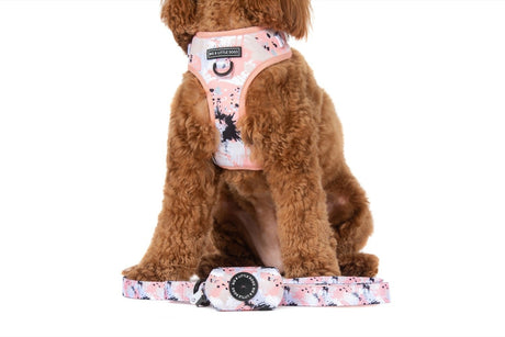 Big and Little Dogs Peach Splatter Terrazzo poepzakjeshouder - Premium Poepzakjeshouder > Poepzakhouder from Big and Little Dogs - Just €15.99! Shop now at Frenkiezdogshop