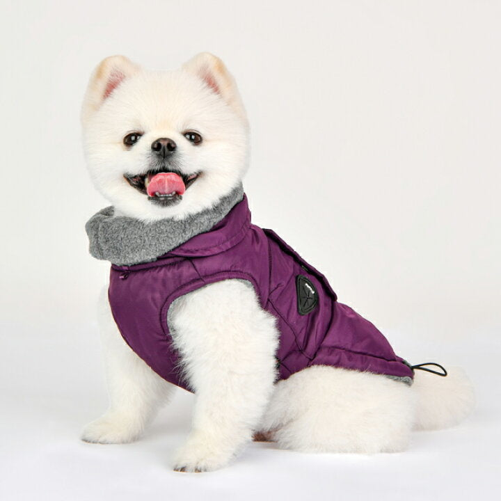 Puppia Tomas Jacket Harness Purple - Premium Hondenkleding > hondenjas from Puppia - Just €72.99! Shop now at Frenkiezdogshop