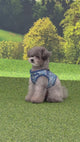 Puppia Cynthia Vest Harness model B Black