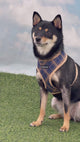 Puppia Corwin Harness Model A Navy