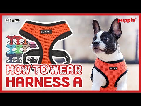 Puppia Sparrow Harness model A Wine ( SMALL &amp; LARGE )