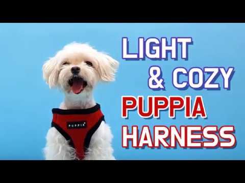 Puppia Leonard Vest Harness model B Black