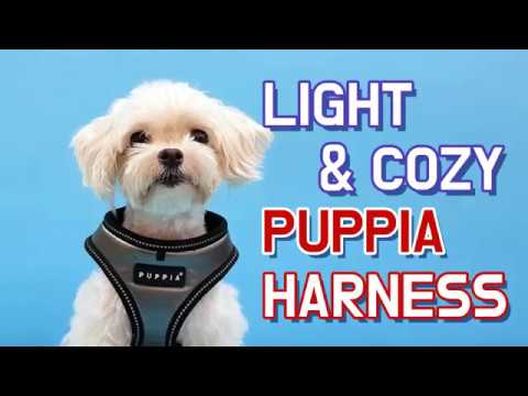 Puppia Trek Geschirr Modell E Schwarz