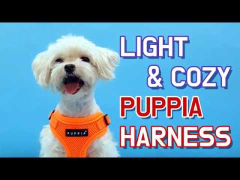 Puppia Algo Harness model C White