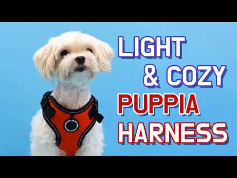 Puppia Trek Harness model F Red