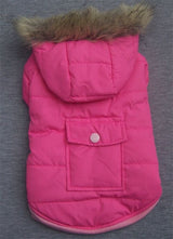 Winterjasje Fuchsia - Premium Hondenkleding > hondenjas from Frenkiezdogshop - Just €14.99! Shop now at Frenkiezdogshop