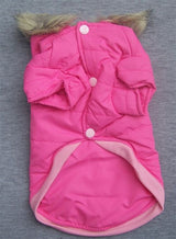 Winterjasje Fuchsia - Premium Hondenkleding > hondenjas from Frenkiezdogshop - Just €14.99! Shop now at Frenkiezdogshop