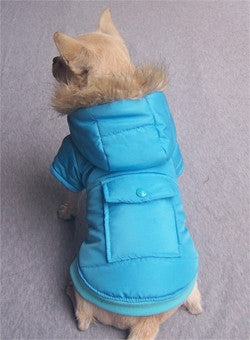 Winterjasje lichtblauw - Premium Hondenkleding > hondenjas from Frenkiezdogshop - Just €14.99! Shop now at Frenkiezdogshop