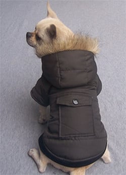 Winterjasje donkerbruin - Premium Hondenkleding > hondenjas from Frenkiezdogshop - Just €14.99! Shop now at Frenkiezdogshop