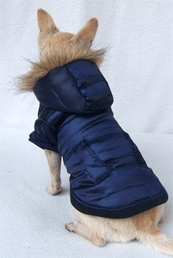 Winterjasje donkerblauw - Premium Hondenkleding > hondenjas from Frenkiezdogshop - Just €9.99! Shop now at Frenkiezdogshop