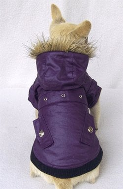 Waxcoat winterjasje paars - Premium Hondenkleding > hondenjas from Frenkiezdogshop - Just €9.99! Shop now at Frenkiezdogshop