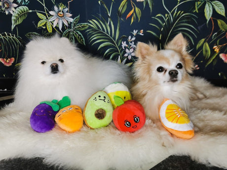 Frenkiez Veggiez Eggplant Hondenspeeltje > Hondenspeelgoed Standaard/One Size