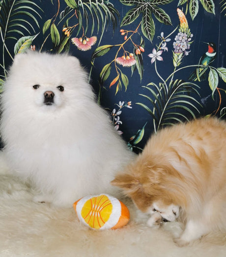 Frenkiez Fruitz Orange Hondenspeeltje > Hondenspeelgoed Standaard/One Size