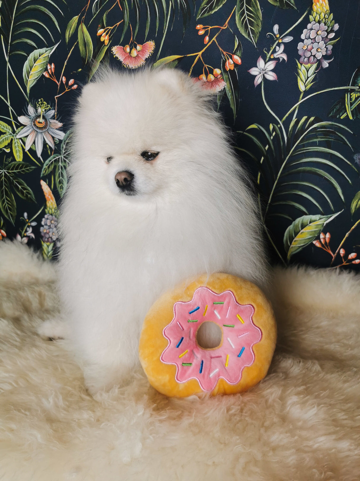 Frenkiez Sweetz Pink Donut - Premium Hondenspeeltje > Hondenspeelgoed from Frenkiez - Just €9.99! Shop now at Frenkiezdogshop