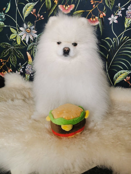 Frenkiez Snackz Hamburger Hondenspeeltje > Hondenspeelgoed Standaard/One Size