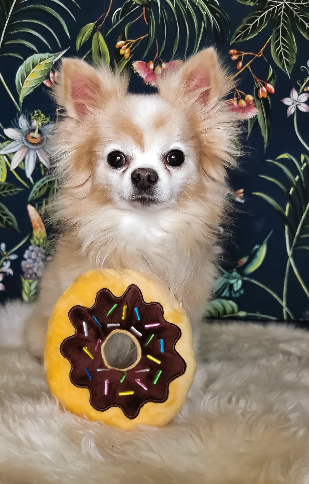 Frenkiez Sweetz Brown Donut - Premium Hondenspeeltje > Hondenspeelgoed from Frenkiez - Just €8.99! Shop now at Frenkiezdogshop