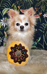 Frenkiez Sweetz Brown Donut - Premium Hondenspeeltje > Hondenspeelgoed from Frenkiez - Just €8.99! Shop now at Frenkiezdogshop