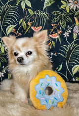 Frenkiez Sweetz Lightblue Donut - Premium Hondenspeeltje > Hondenspeelgoed from Frenkiez - Just €9.99! Shop now at Frenkiezdogshop