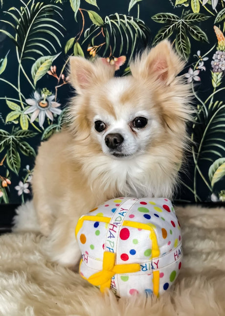 Frenkiez Partyz Present Hondenspeeltje > Hondenspeelgoed Standaard/One Size