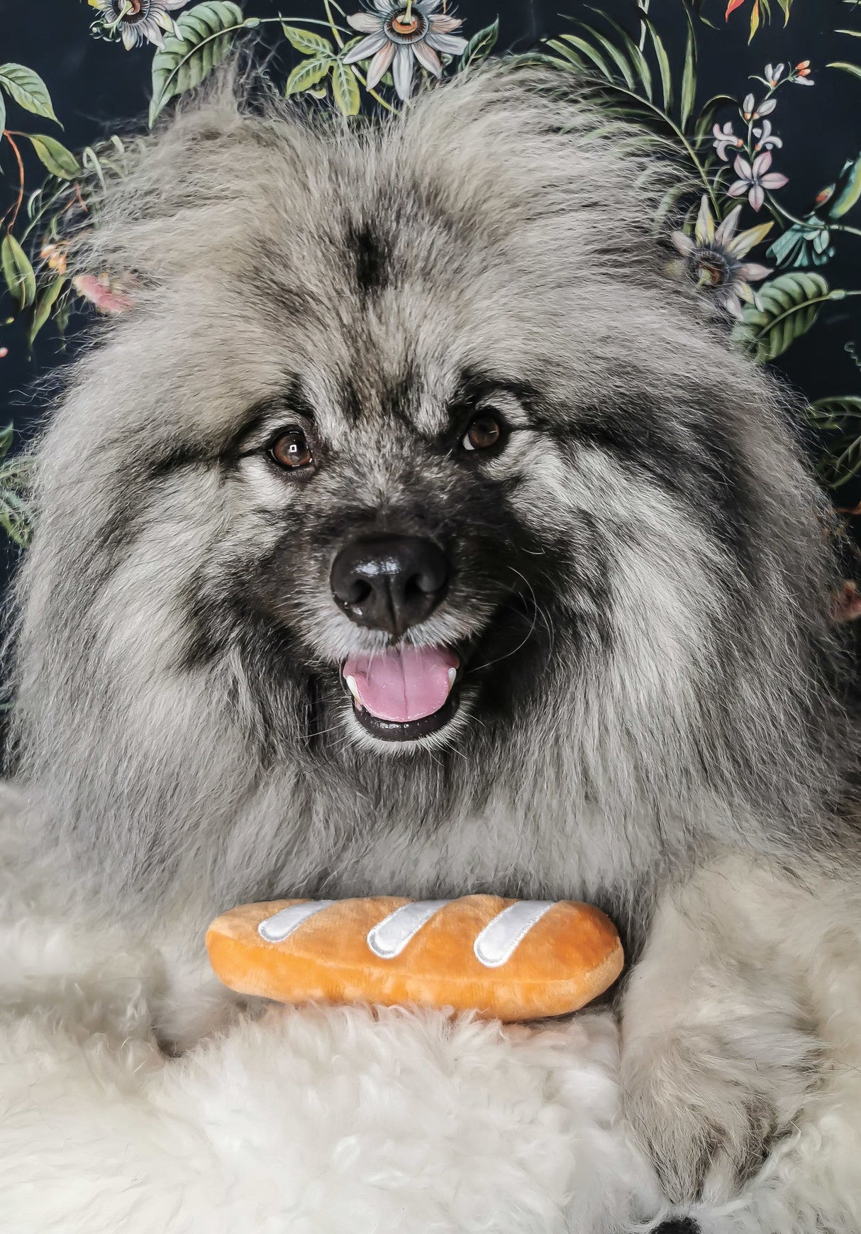 Frenkiez Toyz Take a Bread - Premium Hondenspeeltje > Hondenspeelgoed from Frenkiez - Just €6.99! Shop now at Frenkiezdogshop