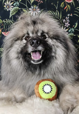 Frenkiez Fruitz Kiwi - Premium Hondenspeeltje > Hondenspeelgoed from Frenkiez - Just €6.99! Shop now at Frenkiezdogshop