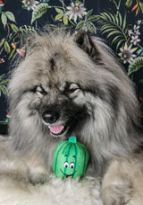 Frenkiez Toyz Happy Melon - Premium Hondenspeeltje > Hondenspeelgoed from Frenkiez - Just €6.99! Shop now at Frenkiezdogshop