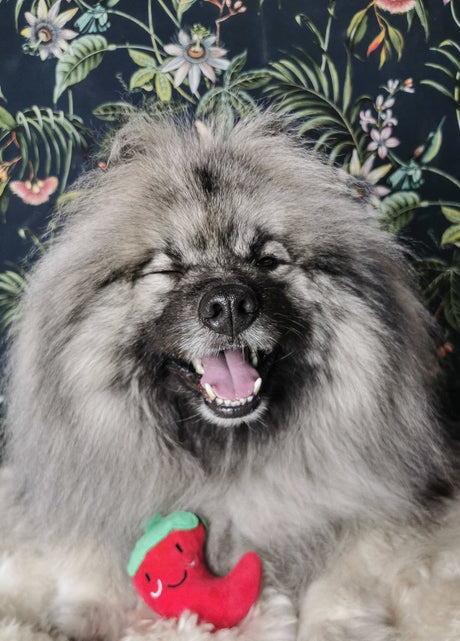 Frenkiez Veggiez Pepper Hondenspeeltje > Hondenspeelgoed Standaard/One Size