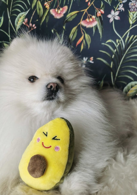 Frenkiez Veggiez Advocado 2.0 Hondenspeeltje > Hondenspeelgoed Standaard/One Size